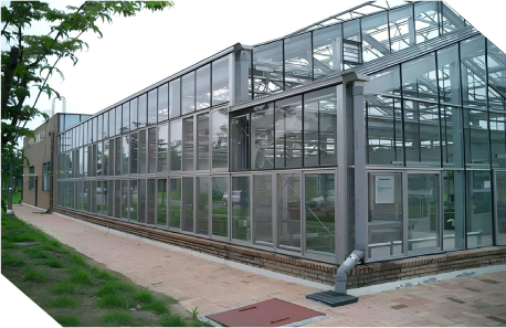 文洛式玻璃温室