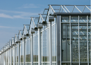 文洛式玻璃温室